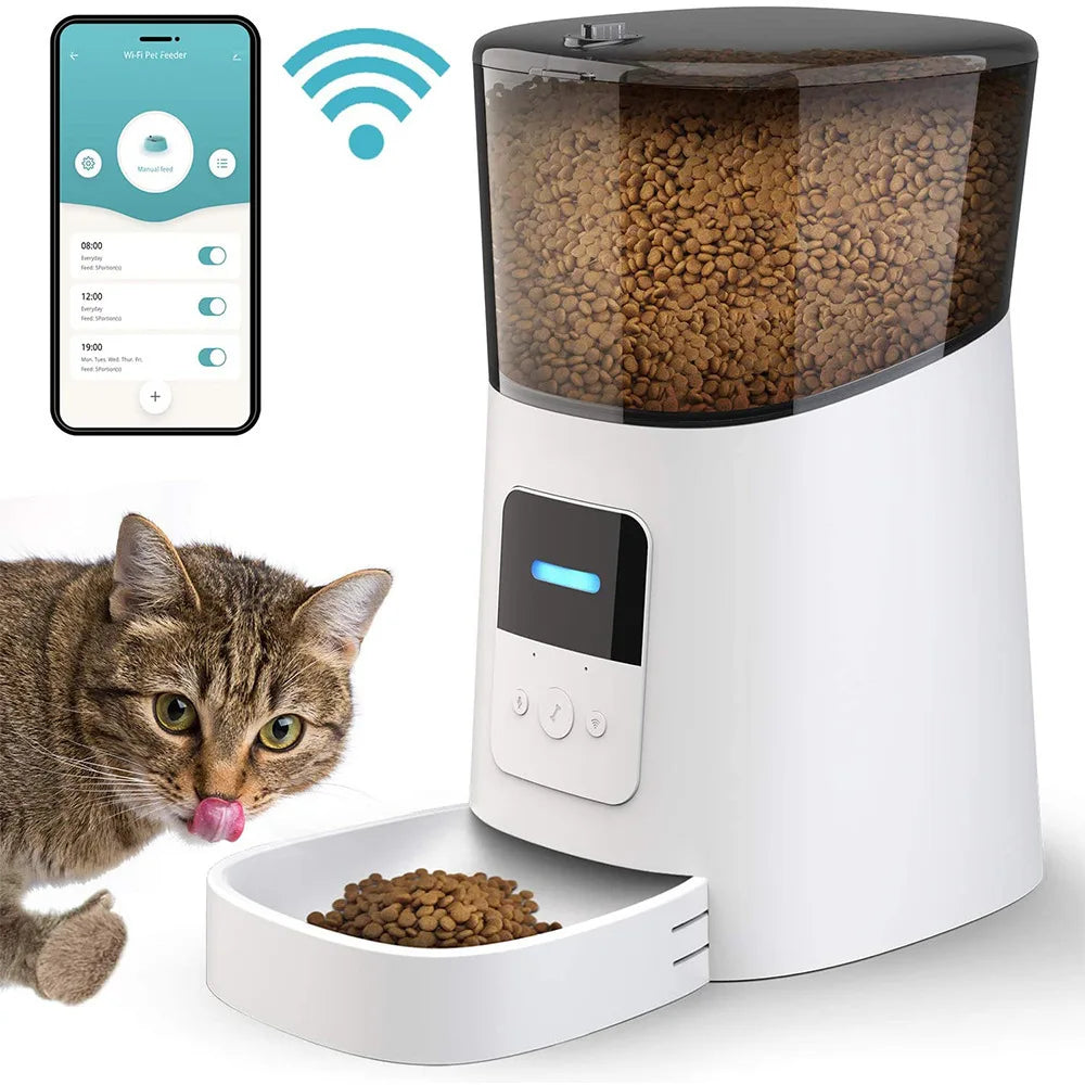 Smart Automatic Pet Food Water Dispenser in use
